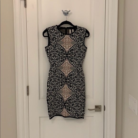 BCBG Maxazaria Jose sleeveless dress